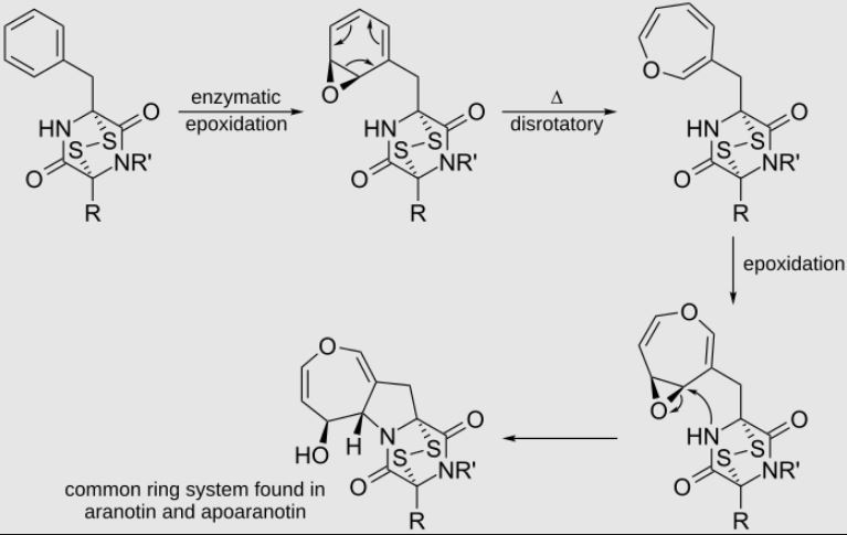 Electrocyclic Reaction